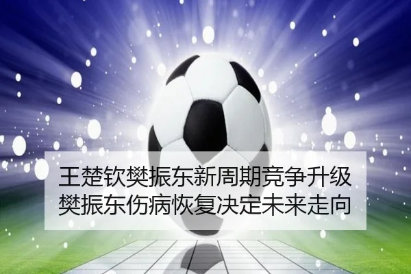 wang-chu-qin-fan-zhen-dong-xin-zhou-qi-jing-zheng-sheng-ji-fan-zhen-dong-shang-bing-hui-fu-jue-ding-wei-lai-zou-xiang-2-119.jpg